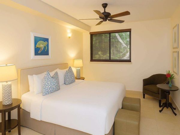 Discover Your Tropical Oasis on St. John