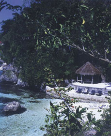 Jamaica Home 1004647