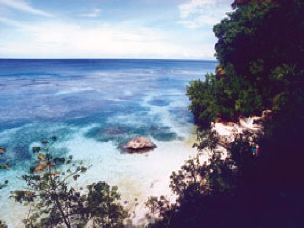 Jamaica Home 1004647