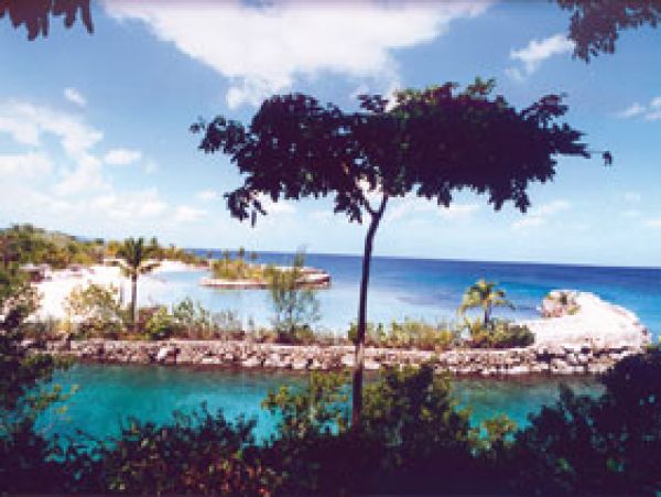 Jamaica Home 1004647