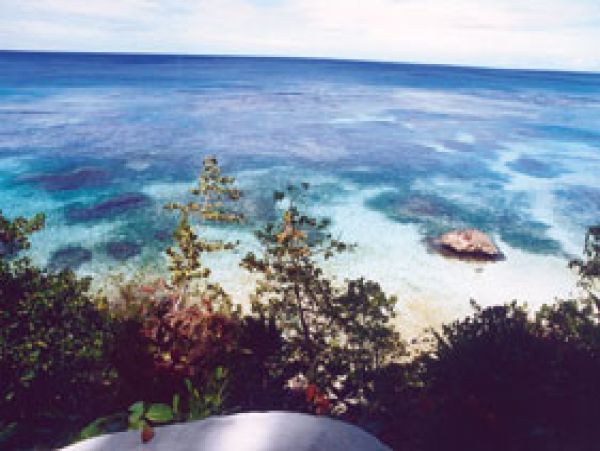 Jamaica Home 1004647