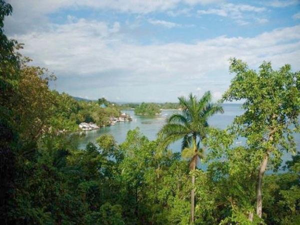 Jamaica Home 1004648