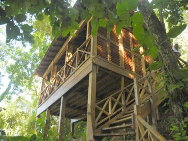 Jamaica Home 1004648
