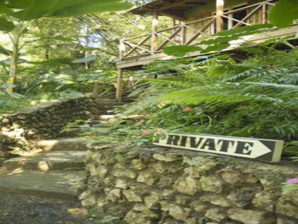 Jamaica Home 1004648
