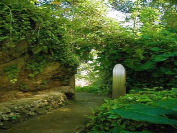 Jamaica Home 1004648