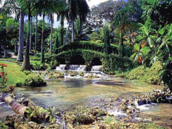 Jamaica Home 1004649