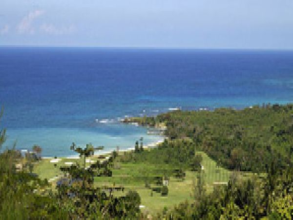 Jamaica Home 1004651