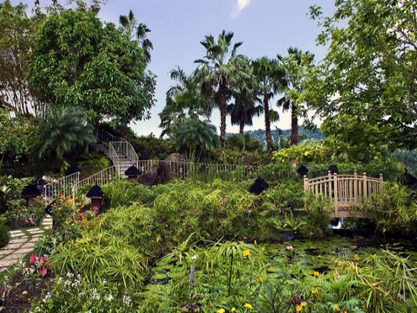 Jamaica Home 1004656