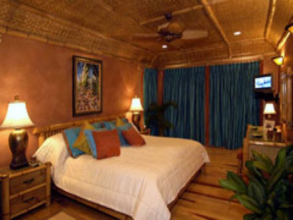 Jamaica Home 1004657