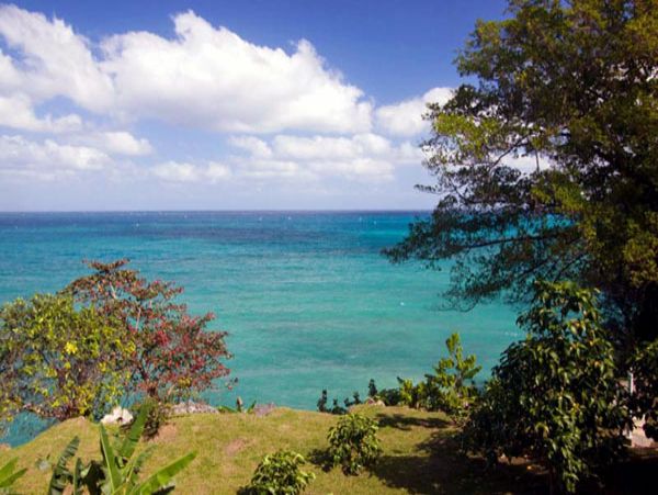 Jamaica Home 1004659