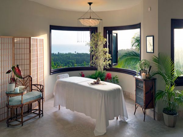 Jamaica Home 1004665