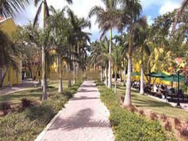 Jamaica Home 1004671