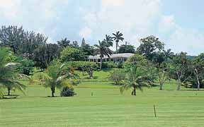 Jamaica Home 1004674