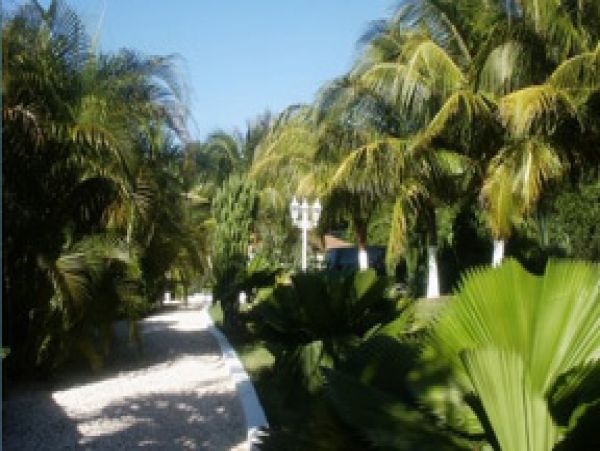 Jamaica Home 1004676
