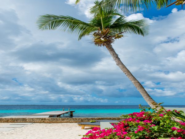 Bonaire Home 1004682