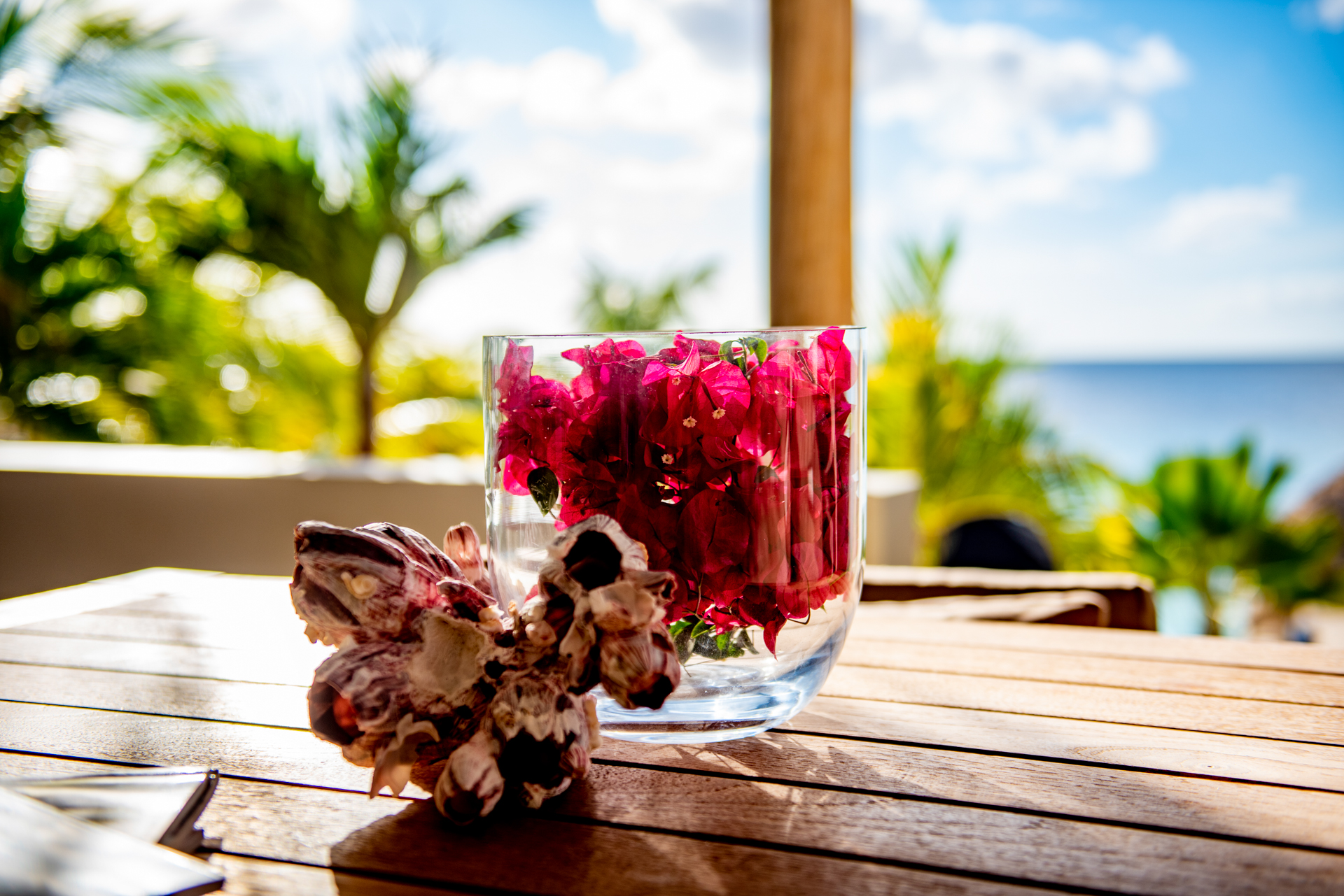 Spectacular Four Bedroom Bonaire Oceanfront Villa
