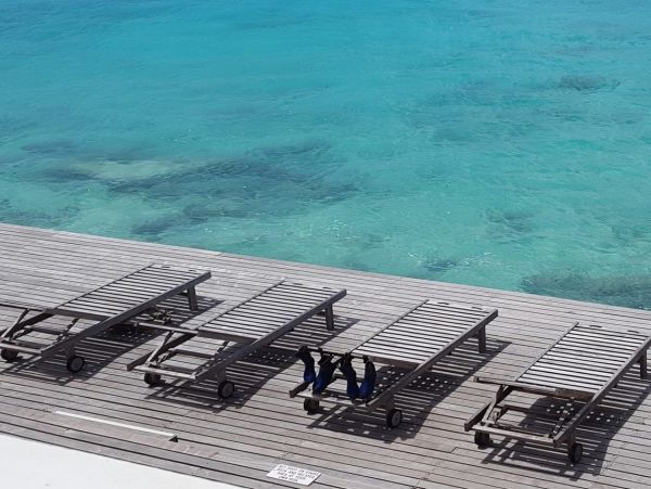 Bonaire Home 1004696