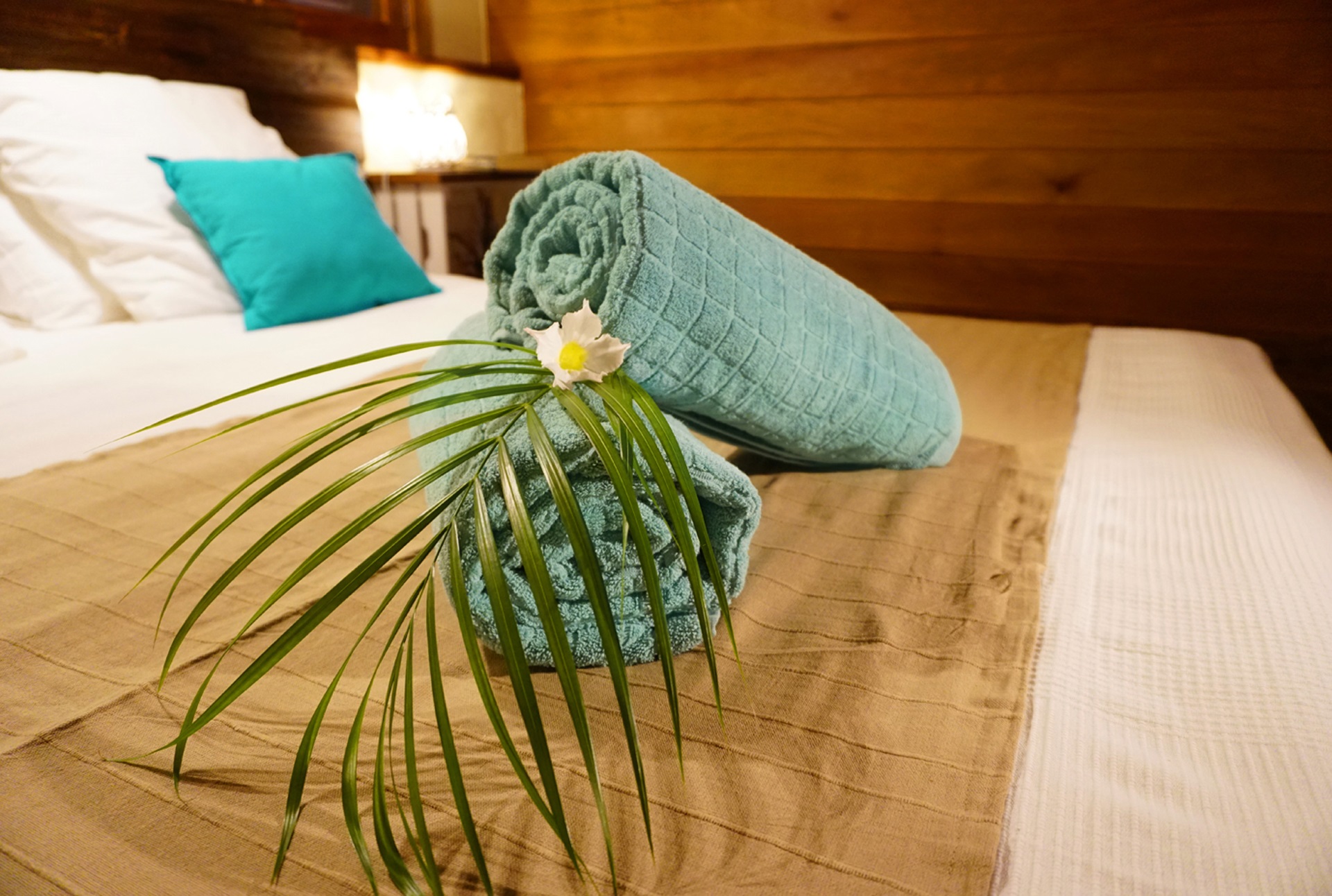 Bonaire Home 1004705