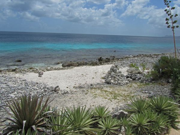 Bonaire Home 1004710
