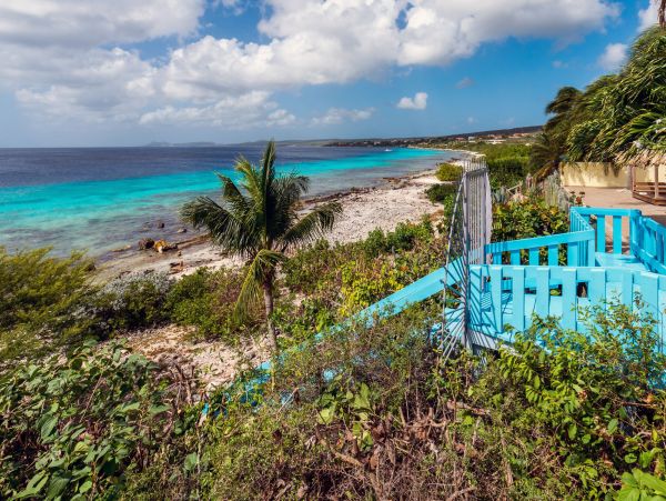 Bonaire Home 1004711