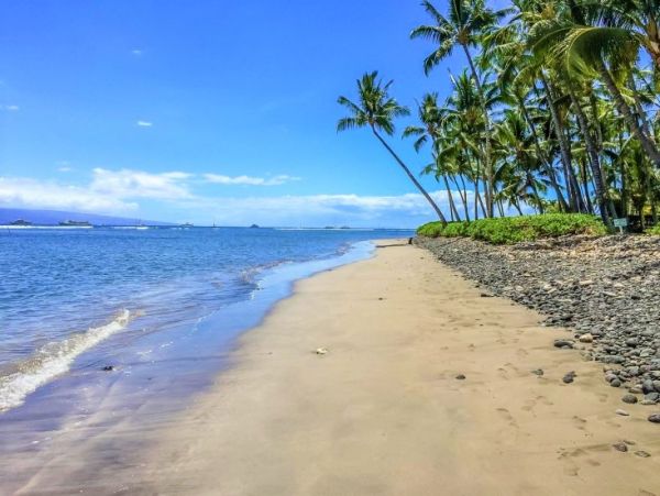 Kaanpali 2 Bedroom Rental Condo Beach Across the Street