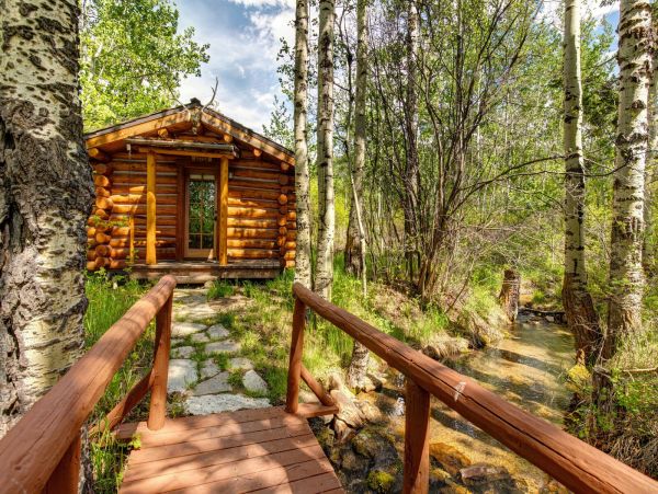 7 Bedroom, Main plus Seperate Cabins on Acres of Land