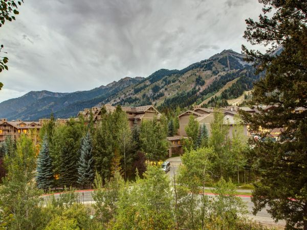 Cozy Cabin In Teton, Sleeps 8