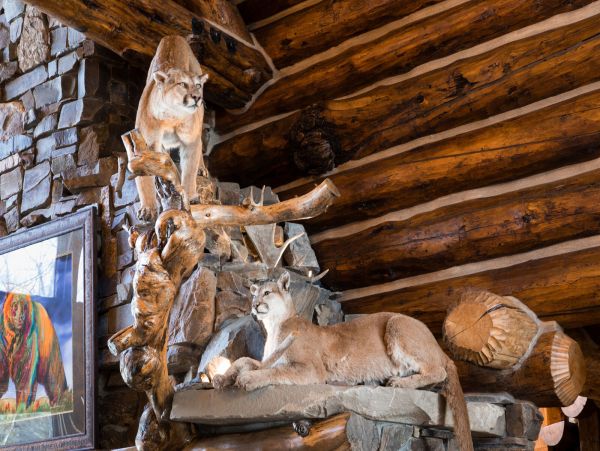 Jackson Hole Wy Home 1004788