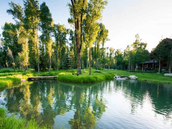 Jackson Hole Wy Home 1004788