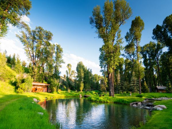 Jackson Hole Wy Home 1004788