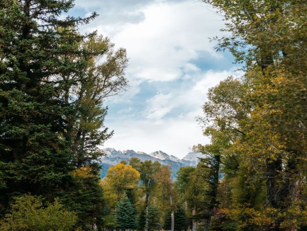 Jackson Hole Wy Home 1004788