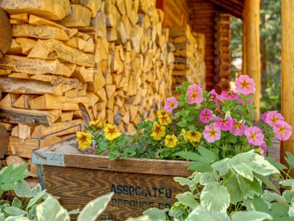 Beautiful Handcrafted Four Bedroom Cabin in Jackson Hole with Great Location