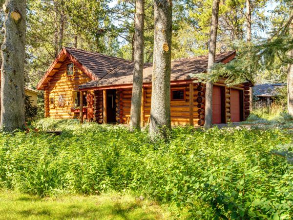 Beautiful Handcrafted Four Bedroom Cabin in Jackson Hole with Great Location