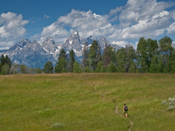 Jackson Hole Wy Home 1004801