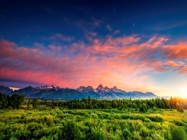 Jackson Hole Wy Home 1004801