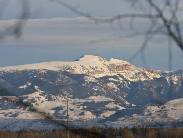 Jackson Hole Wy Home 1005002