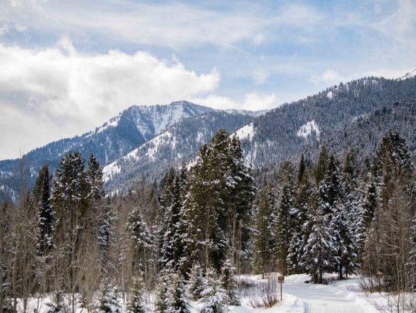 Teton Luxury Vacation Home Away From Home