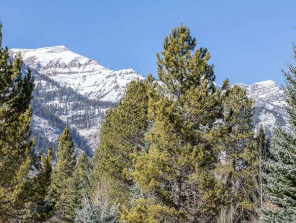 Jackson Hole Wy Home 1005018