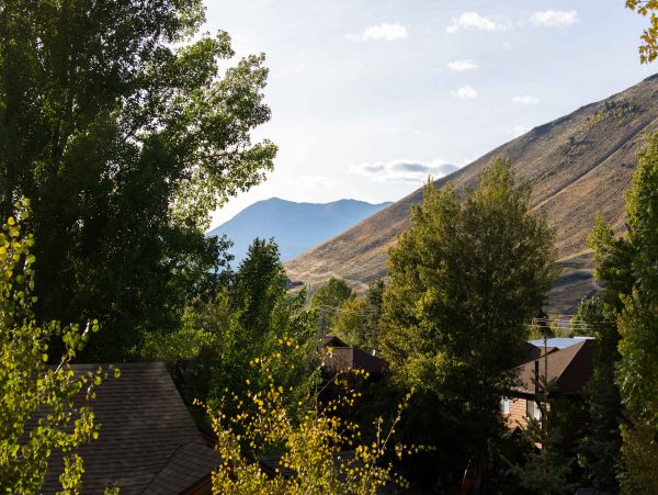 Jackson Hole Wy Home 1005029