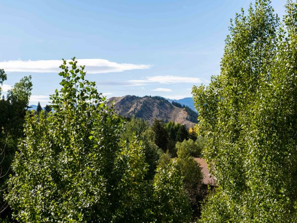Jackson Hole Wy Home 1005030