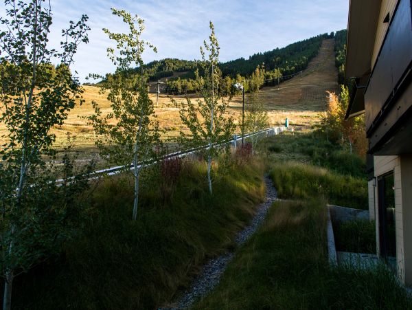 Jackson Hole Wy Home 1005031