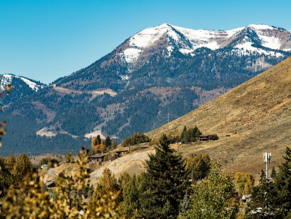 Jackson Hole Wy Home 1005034