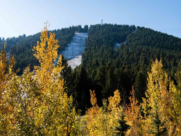 Jackson Hole Wy Home 1005034