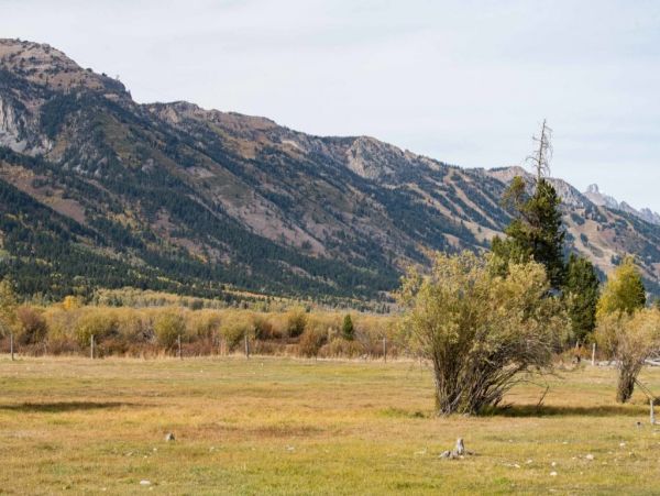 Jackson Hole Wy Home 1005052