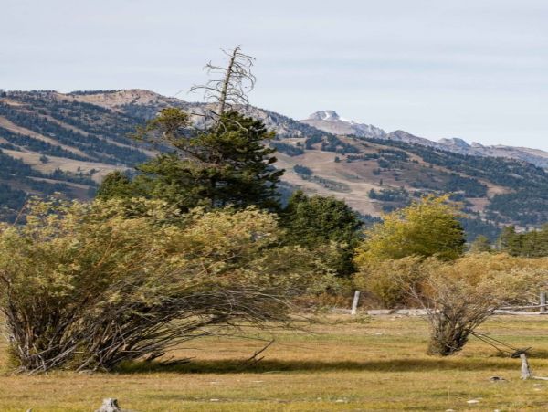 Jackson Hole Wy Home 1005052
