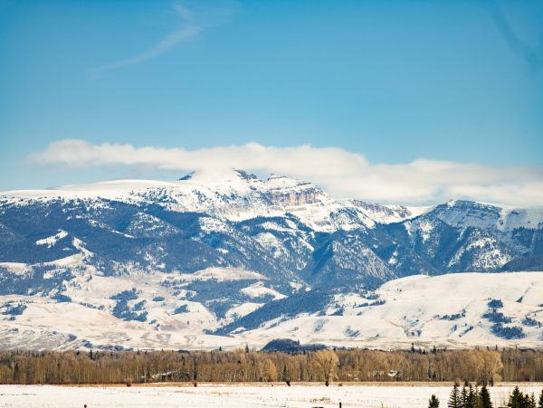 Jackson Hole Wy Home 1005065