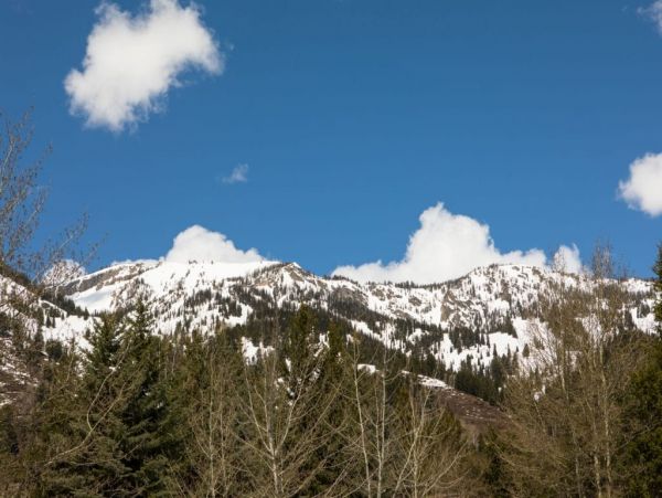 Jackson Hole Wy Home 1005066