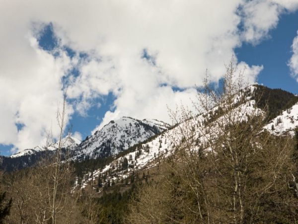 Jackson Hole Wy Home 1005066