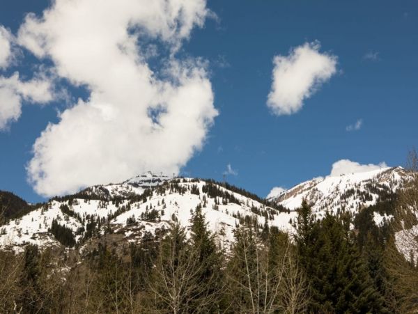 Jackson Hole Wy Home 1005066
