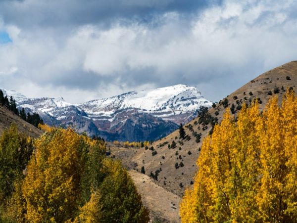 Jackson Hole Wy Home 1005075